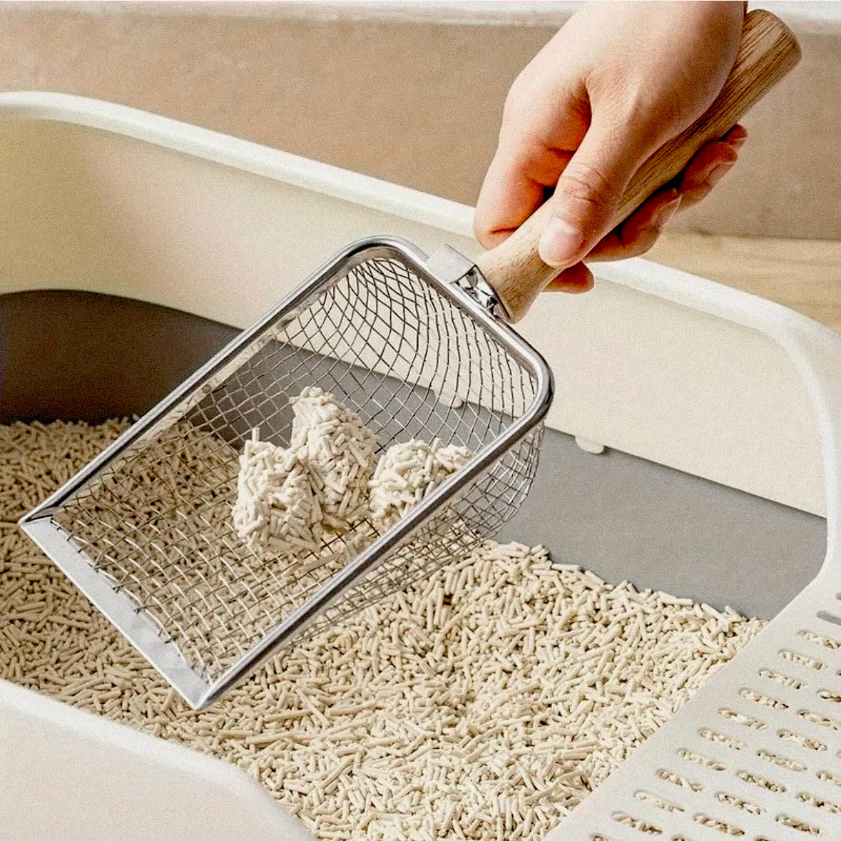 Kattenbak & toebehoren