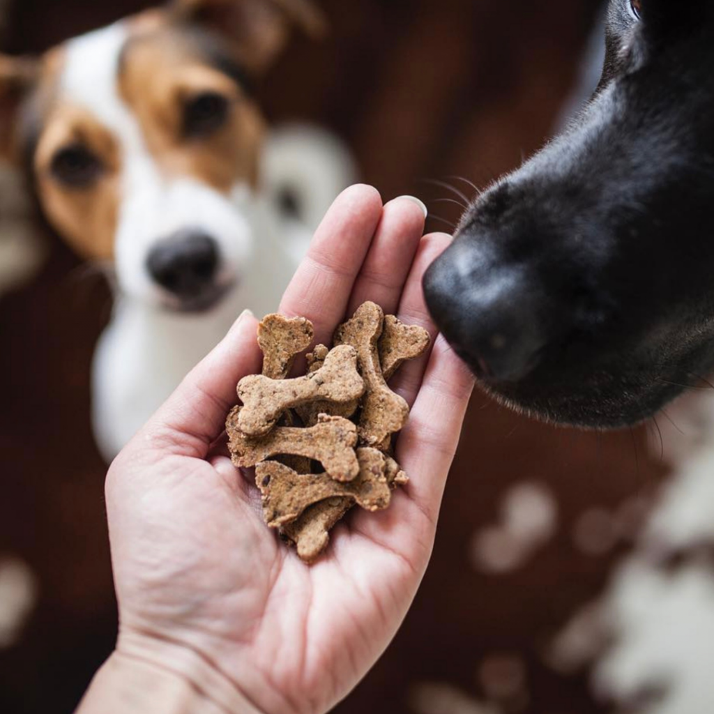 Snacks voor honden