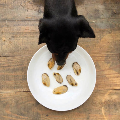 Groenlipmossels in blik voor honden