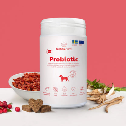 Buddy Care Probiotic