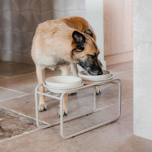 BUTLER voerbakstandaard - hond