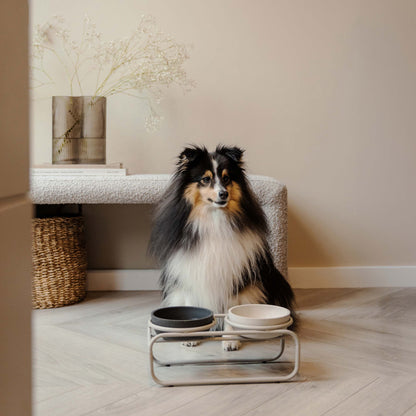 BUTLER voerbakstandaard - hond