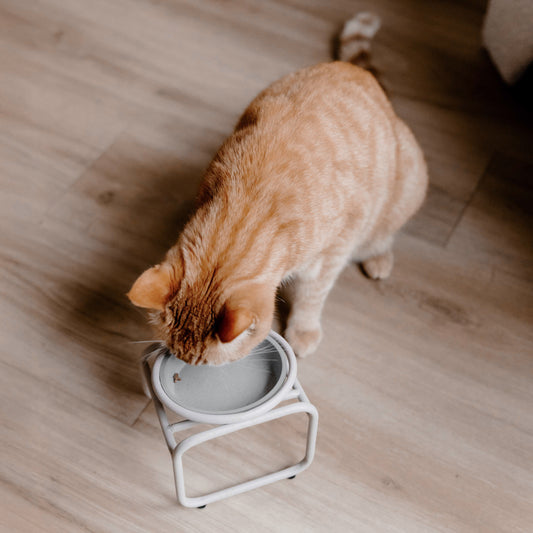 BUTLER Single voerbakstandaard - kat