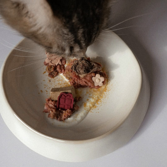 Noma Bowl