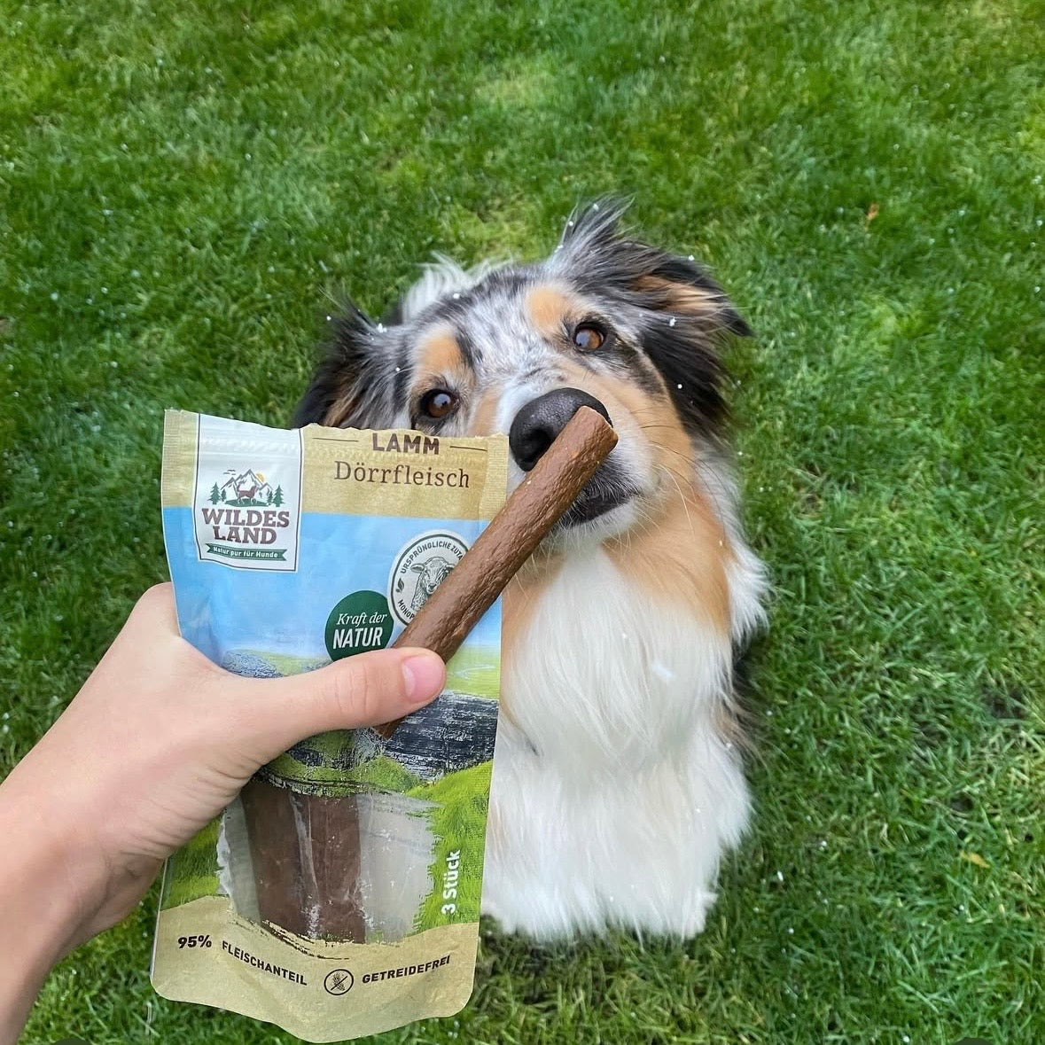 Wildes Land Gedroogde vleessnack