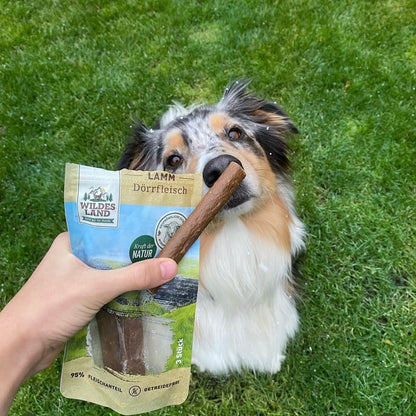 Wildes Land Gedroogde vleessnack