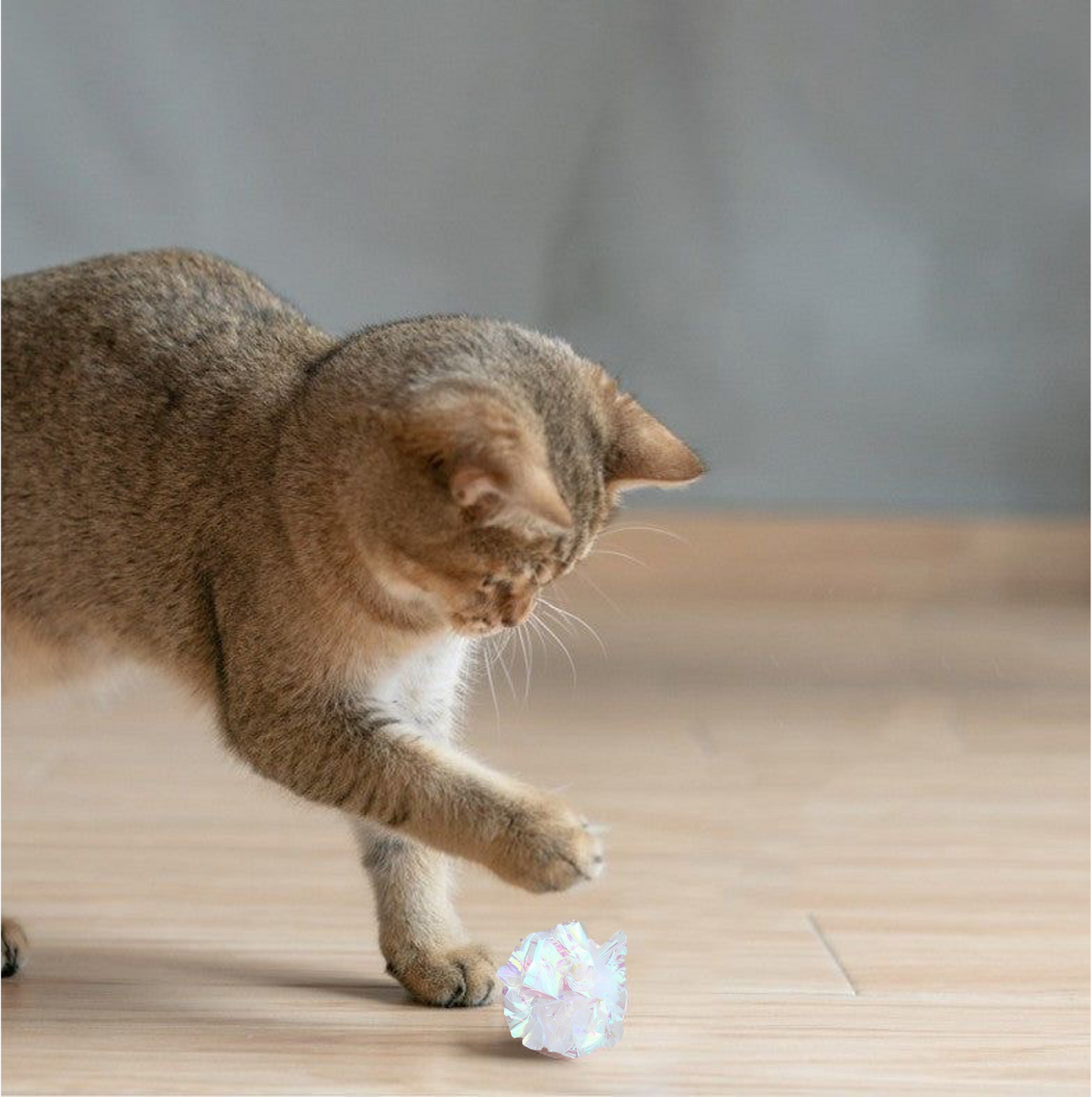 Kreukelballetjes (3 stuks)