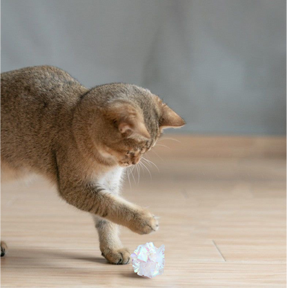 Kreukelballetjes (3 stuks)