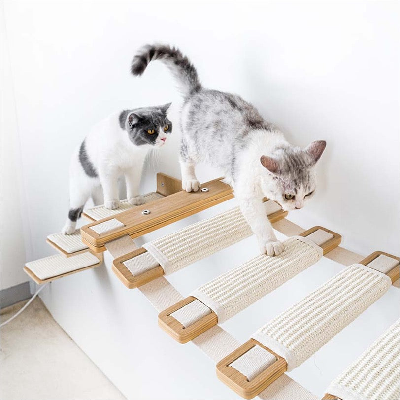 Wall of Rebels - Bridge