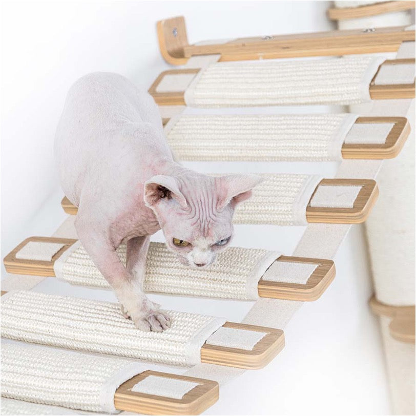 Wall of Rebels - Bridge