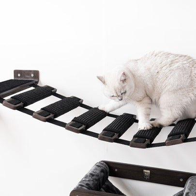 Wall of Rebels - Bridge