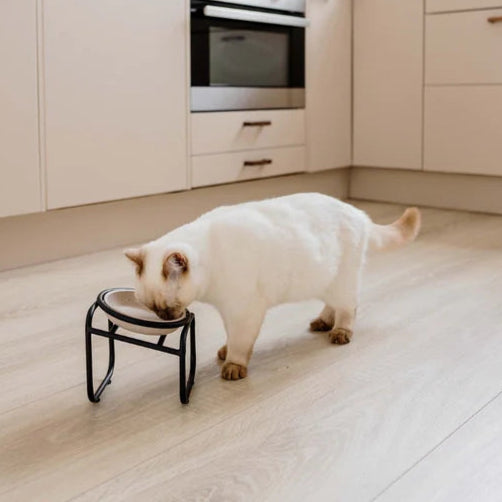 BUTLER Single voerbakstandaard - kat