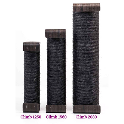 Wall of Rebels - Climb