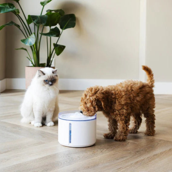 FLOW Draadloze drinkfontein