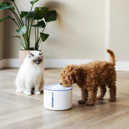 FLOW Draadloze drinkfontein