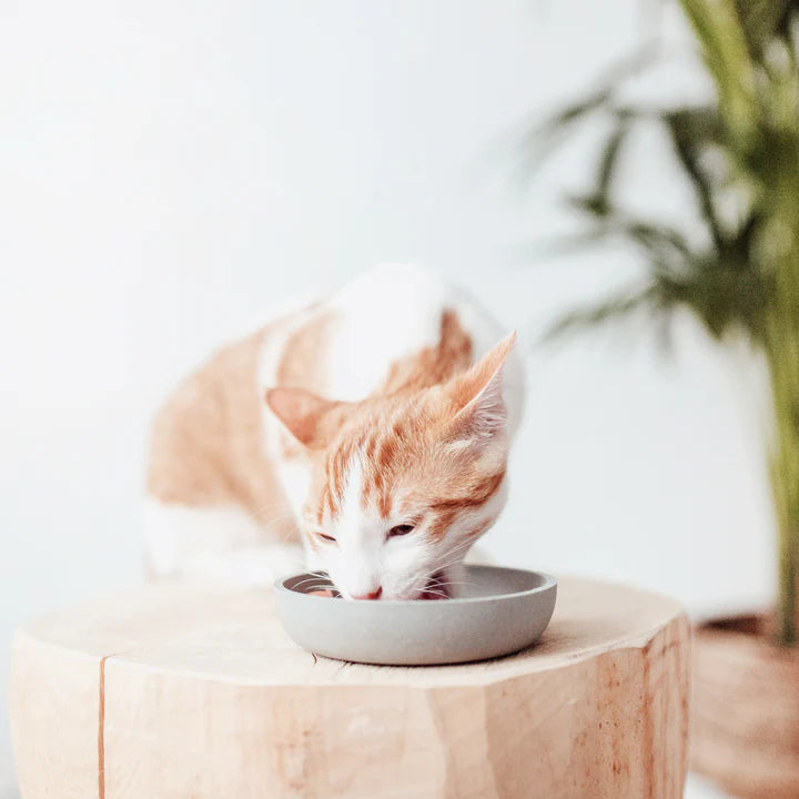 BAMBOO voerbak - Kat