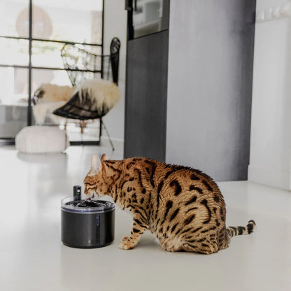 FLOW Draadloze drinkfontein