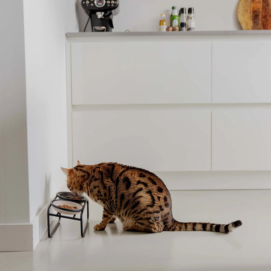 BUTLER voerbakstandaard - kat