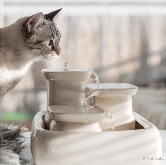 Keramische drinkfontein