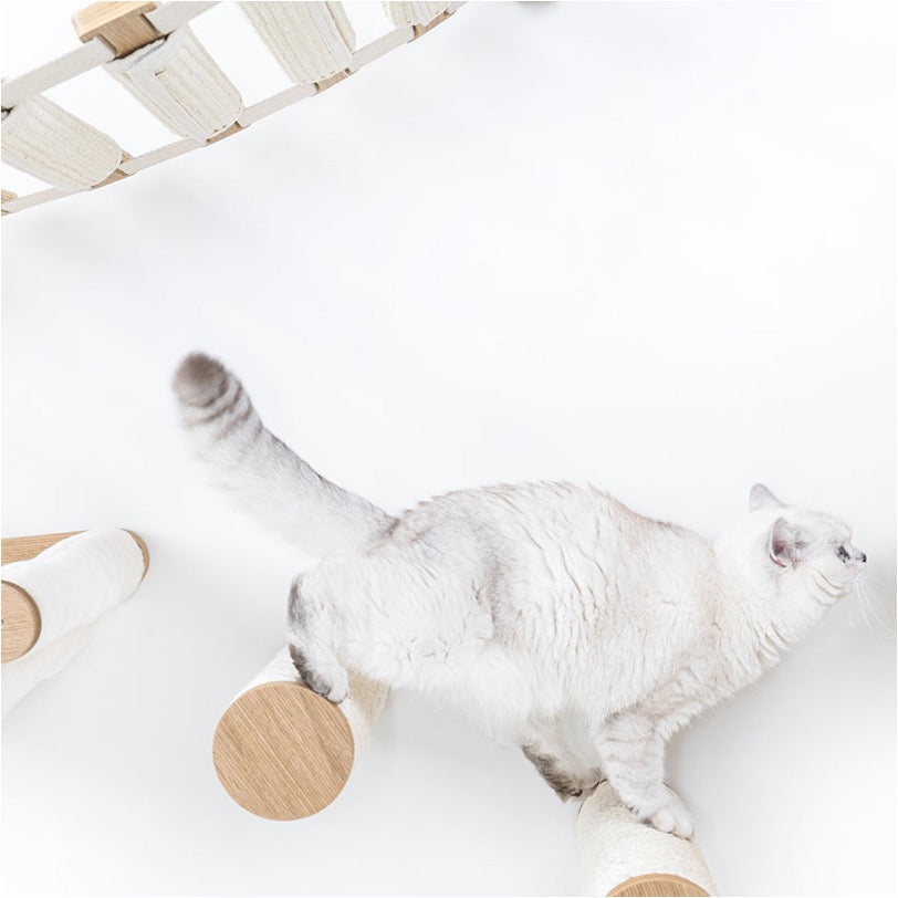 Wall of Rebels - Horizon