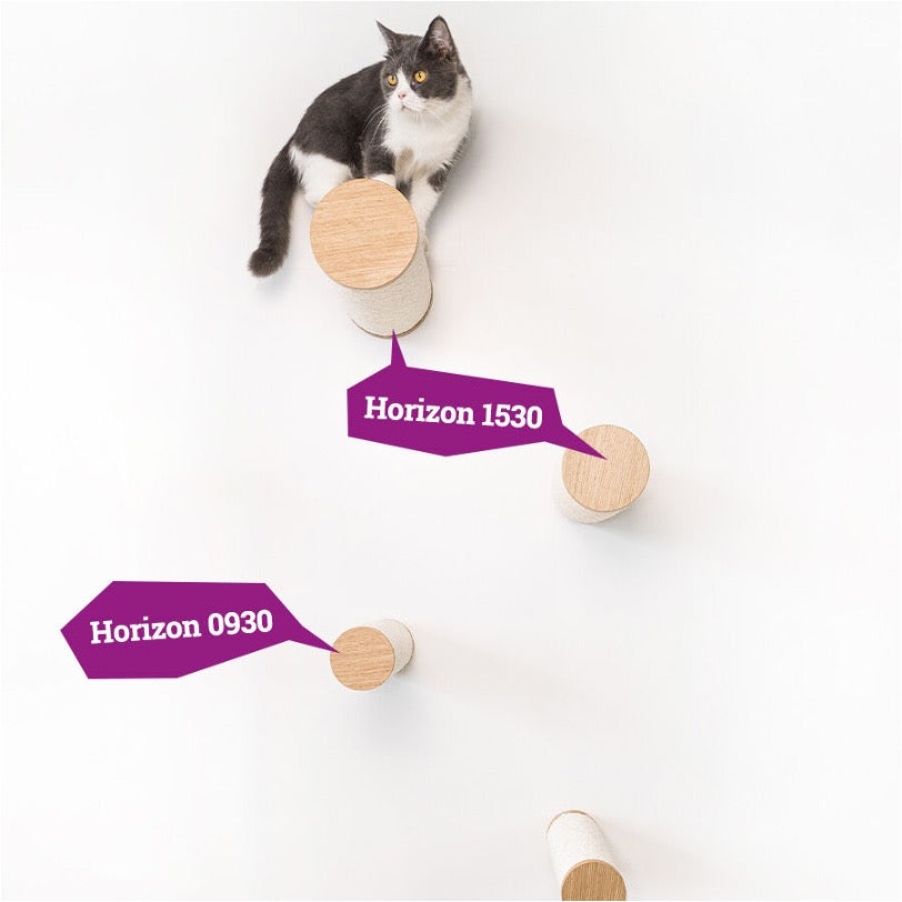 Wall of Rebels - Horizon