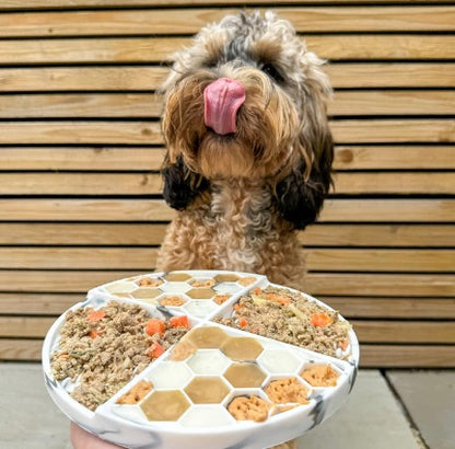 Pindakaas voor honden