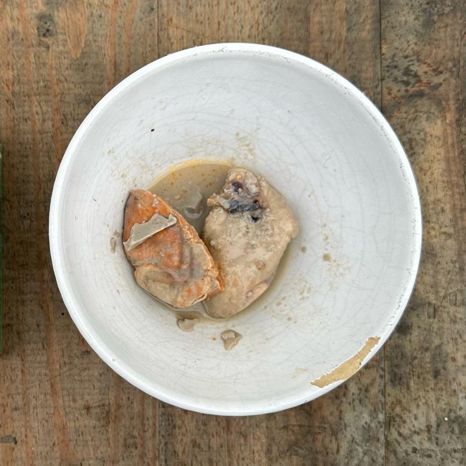 Zeeduivellever in blik voor katten