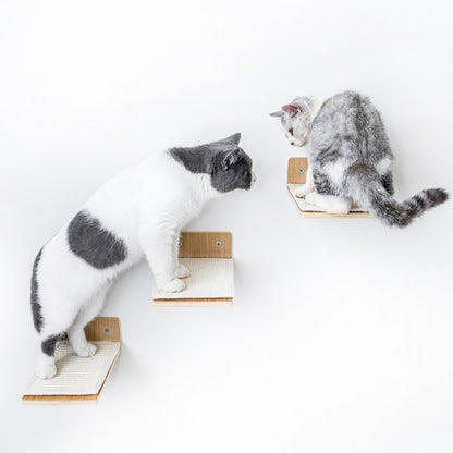 Wall of Rebels - Steps