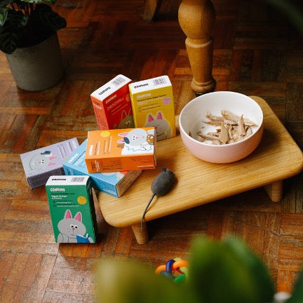 Sardines in blik voor katten