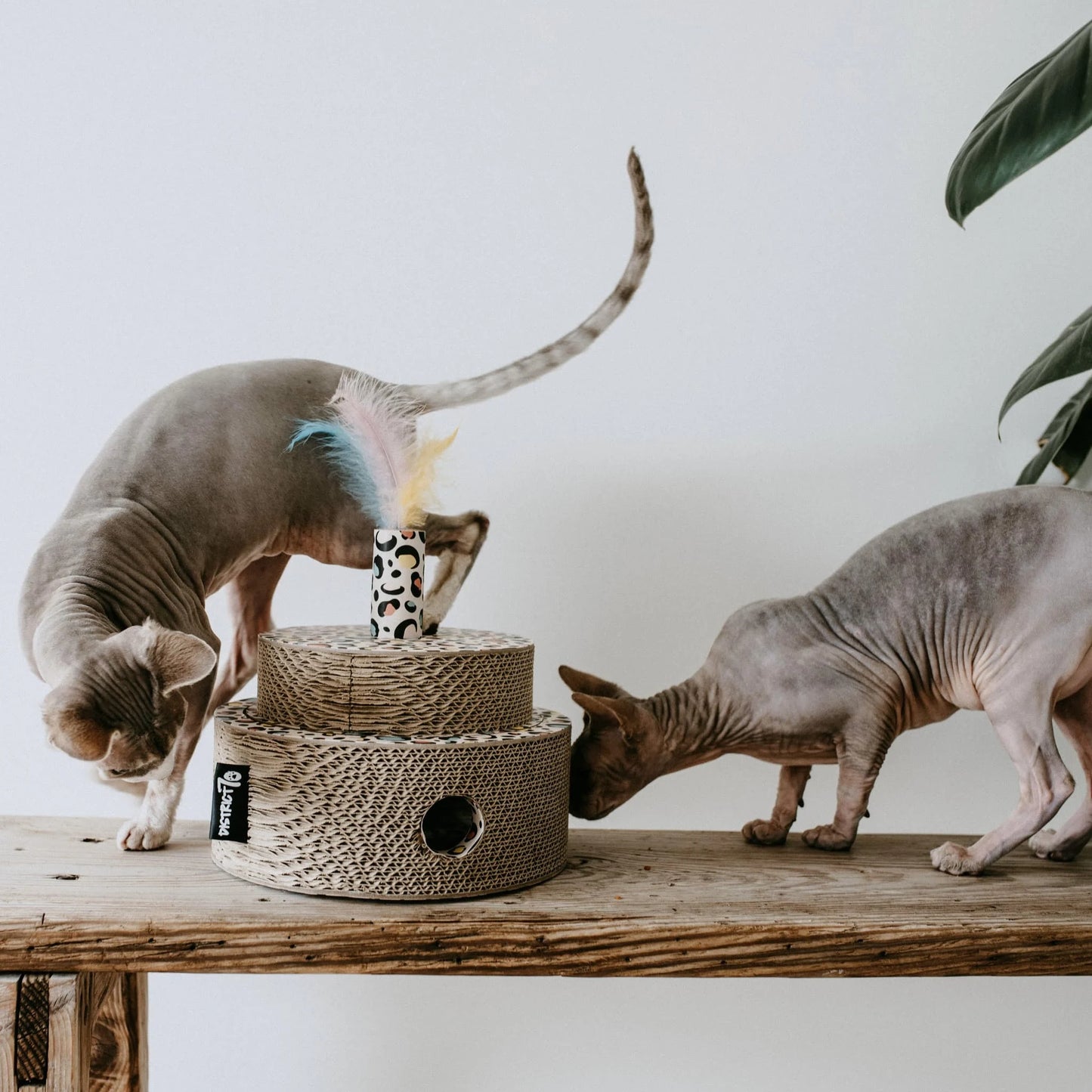 FIESTA krabspeelgoed