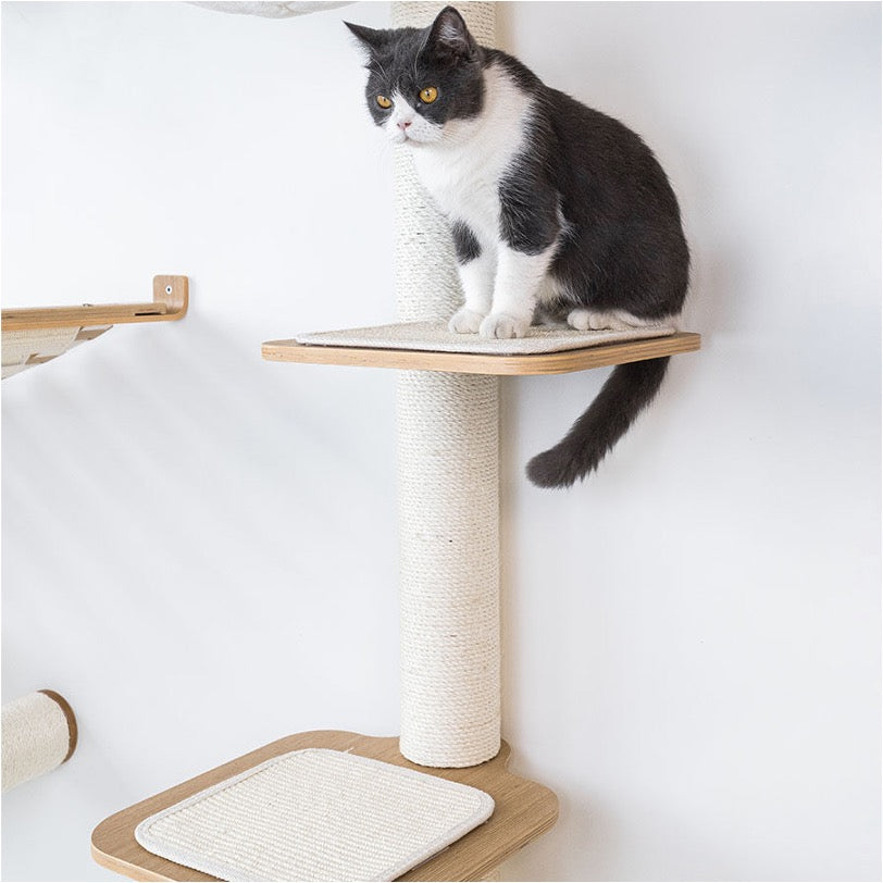 Wall of Rebels - Climb