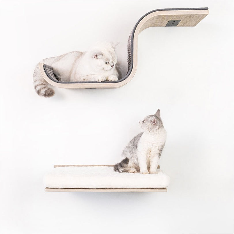 Wall of Rebels - Scratch