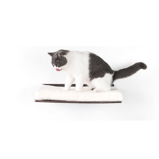 Wall of Rebels - Relax