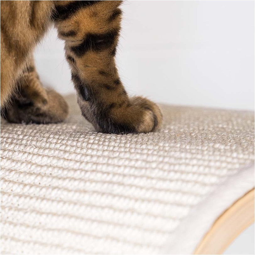 Wall of Rebels - Scratch