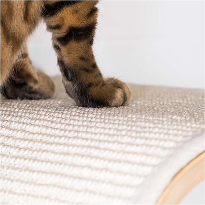 Wall of Rebels - Scratch