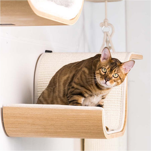 Wall of Rebels - Scratch