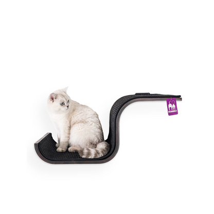 Wall of Rebels - Scratch