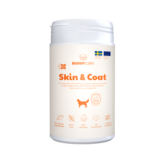 Buddy Care Skin & Coat