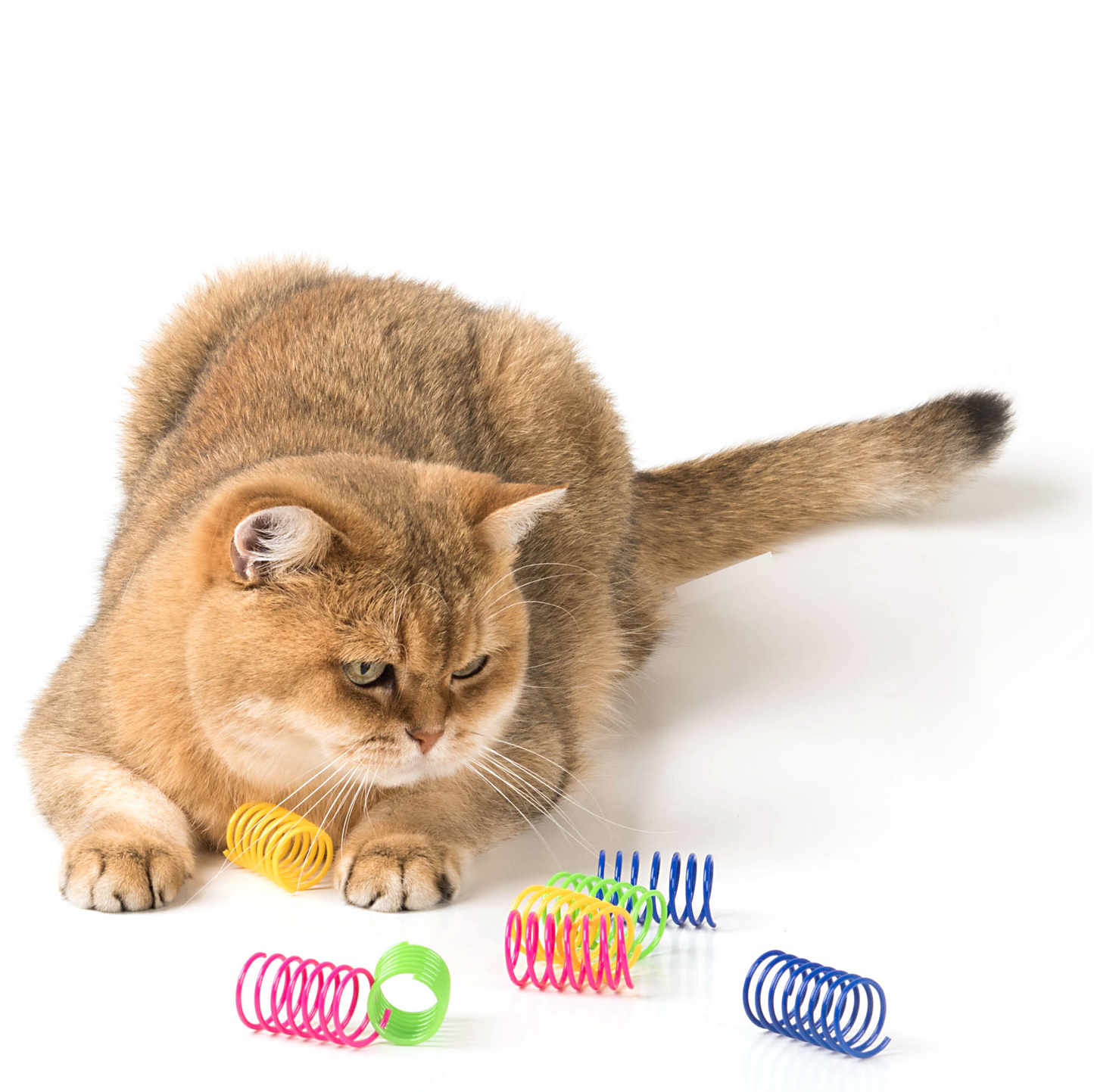 Springveertjes (4 stuks)